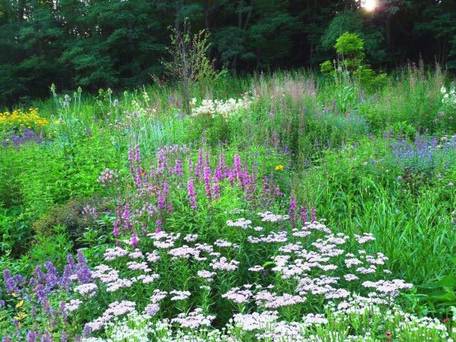 新富良野プリンスホテル / 2