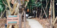 都会なのに緑がいっぱい！神戸の人気カフェ「グリーンハウスシルバ」