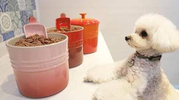 ペット用設備・サービス / 1