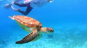 スポーツ設備 / 1