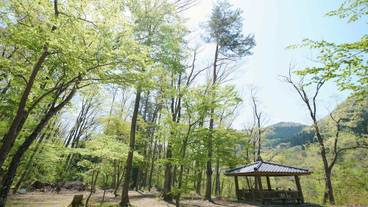 宿泊施設の地図 / 13