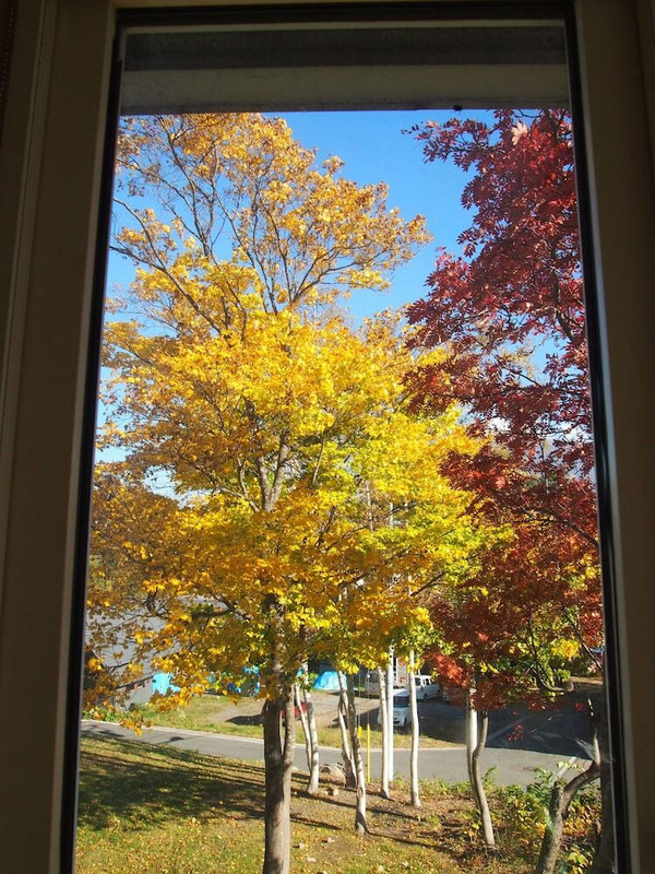 施設からの眺望