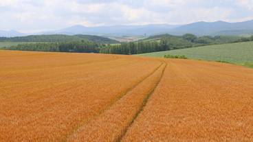 施設からの眺望 / 13