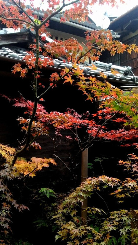 部屋からの景観
