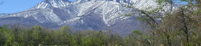 【北海道】この夏は大自然の中のヴィラでおこもり。カップルにおすすめヴィラ＆貸別荘5選