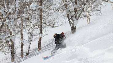 スノー スポーツとスキー / 6