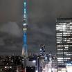 客室からの眺望