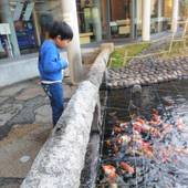 鳥取温泉 観水庭こぜにや（鳥取県 旅館） / 3