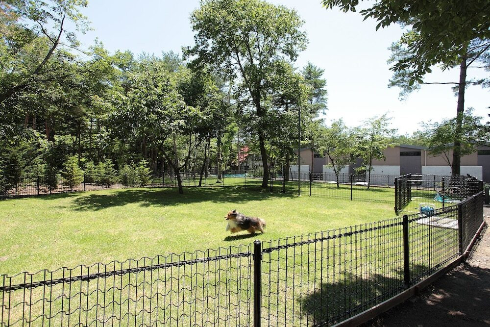 愛犬も家族とずっと一緒♪ペットファーストのホテル4574315