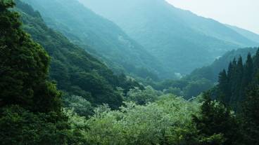 宿からの眺望 / 1