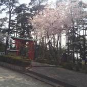 ホテルニュー桂（佐渡島）（新潟県 旅館） / 4