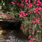 Rakuten STAY 熱海（静岡県 リゾートホテル） / 5