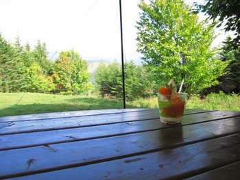 「TOP’s 360°」料理 683486 15/8/24