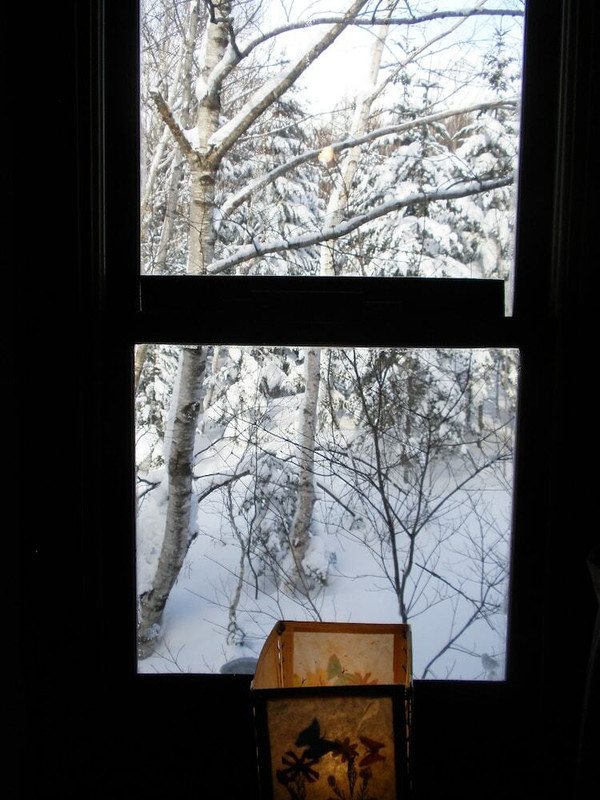 部屋からの景観