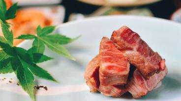 食事・飲み物 / 14