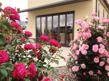 花の宿　夢富士 / 5