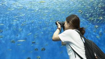 観光スポット / 6