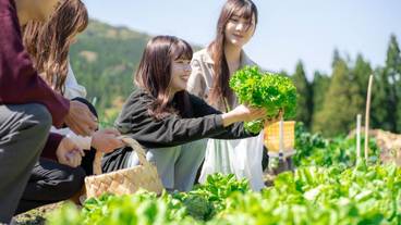 ランド ビュー / 5