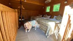 【河口湖・山中湖】ペットと泊まれるホテル5選♪愛犬連れでステイ