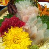 七福（シチフク）