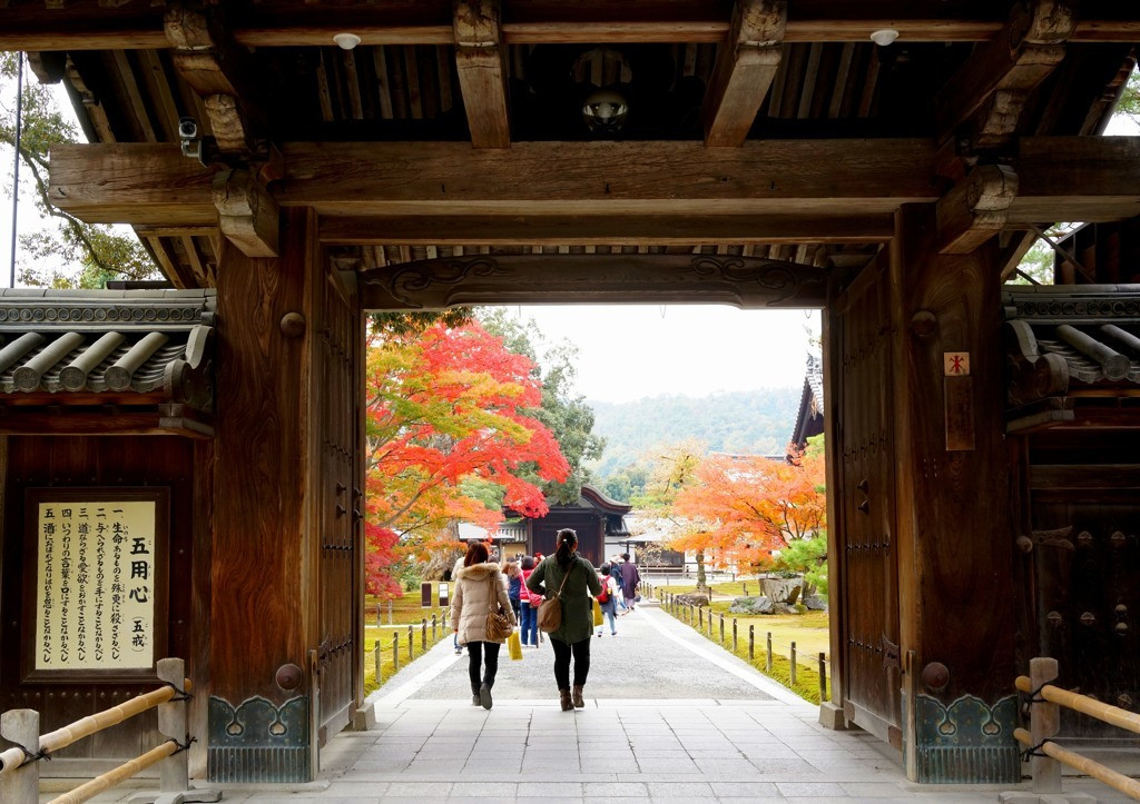 これぞ北山文化の真髄「鹿苑寺（金閣寺）」894950