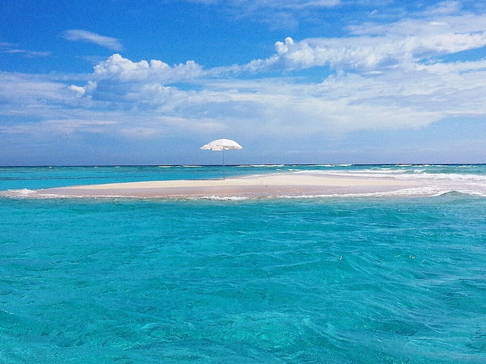 施設からの眺望