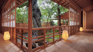 ラグジュアリー スイート