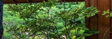 【甲府】観光の疲れを温泉で癒やそう。カップルにおすすめのホテル・旅館10選