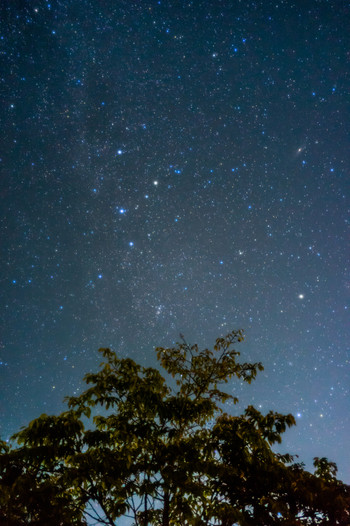 奥多摩の星空