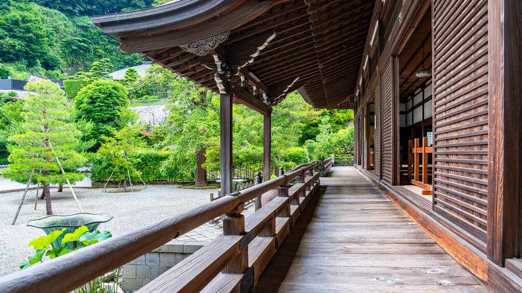 散策を楽しみつつ
北鎌倉でランチを / 1