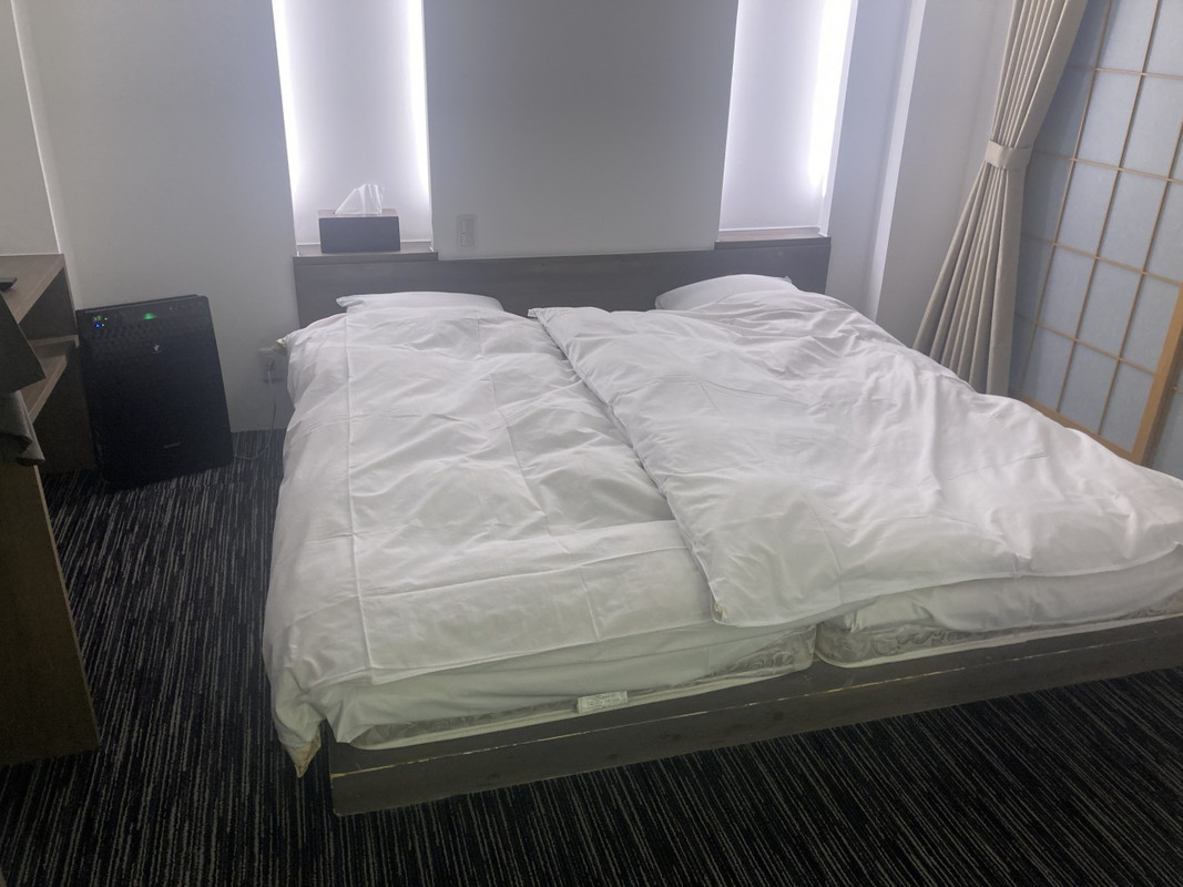 ハリウッドツイン