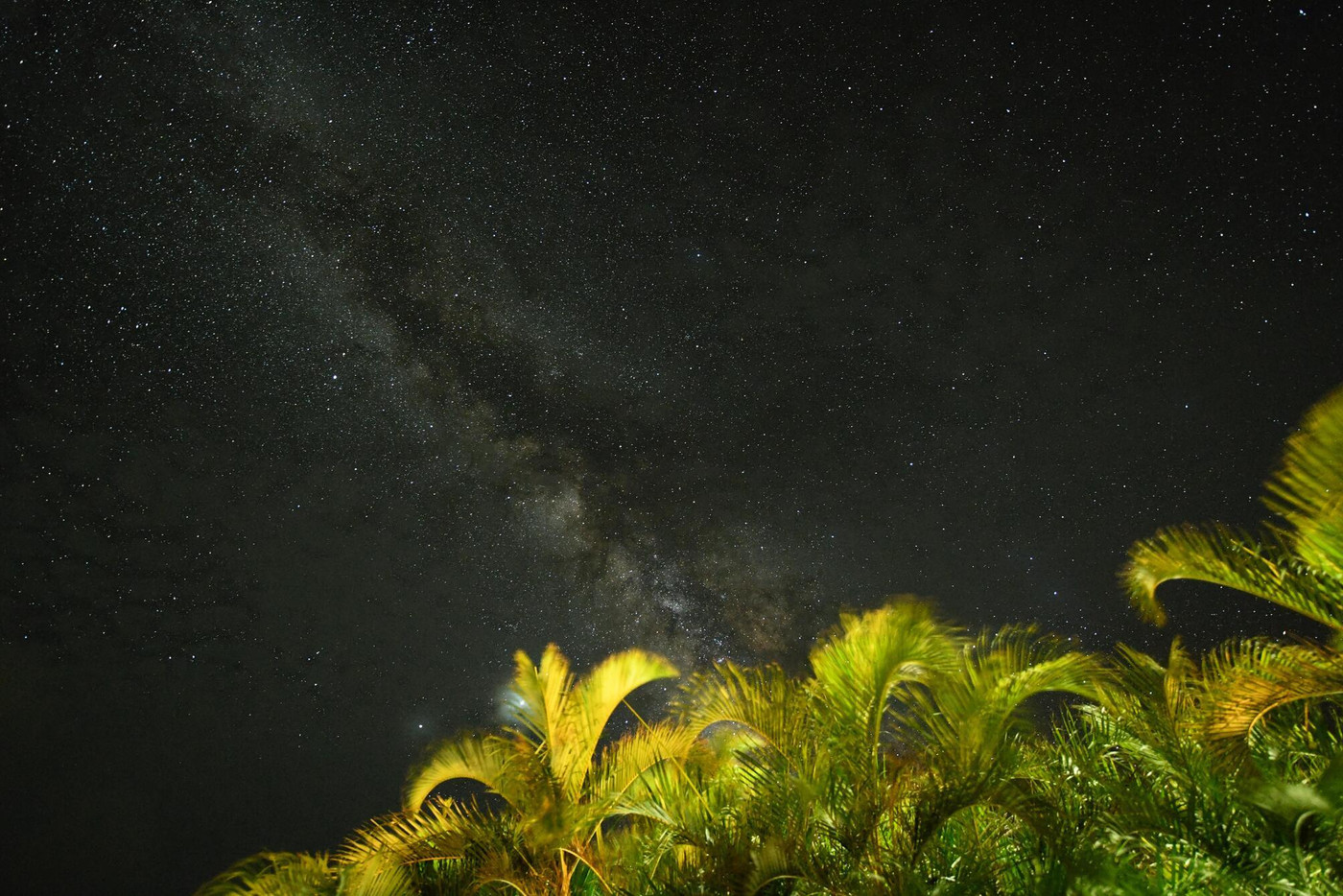 天の川銀河～西表島にて～