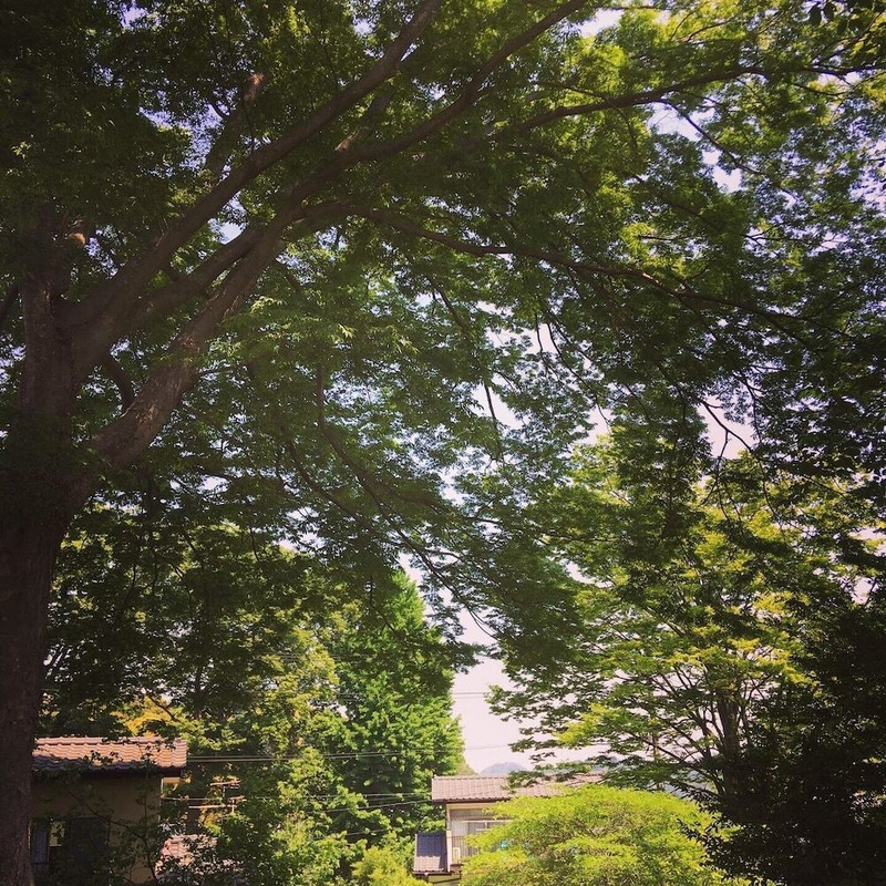 施設からの眺望