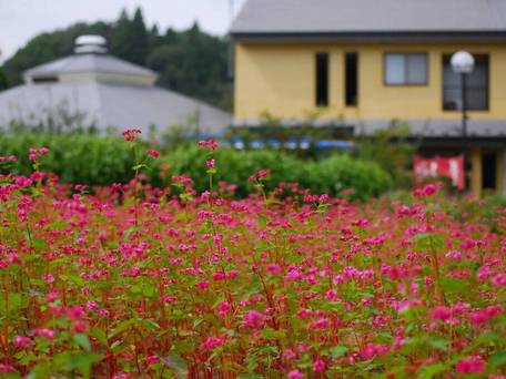 奥州平泉温泉 そば庵 しづか亭 / 4