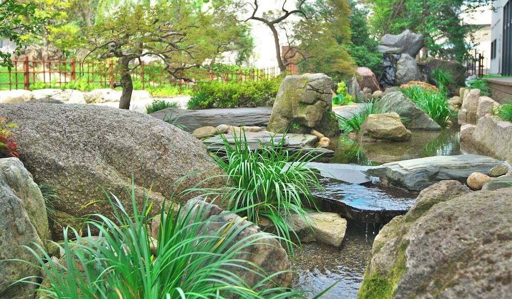 川の庭 / 1