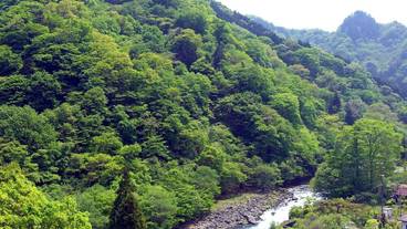 マウンテン ビュー / 11