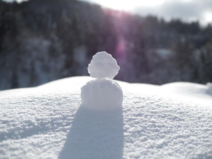 peco_naoさんの写真 / 1