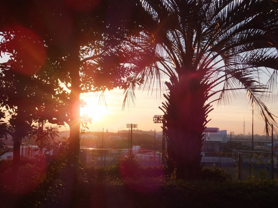 夕陽