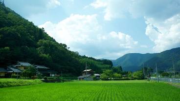 施設からの眺望 / 18
