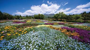 観光スポット / 5