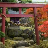 寒河江温泉 ホテルシンフォニー 本館（山形県 シティホテル） / 5