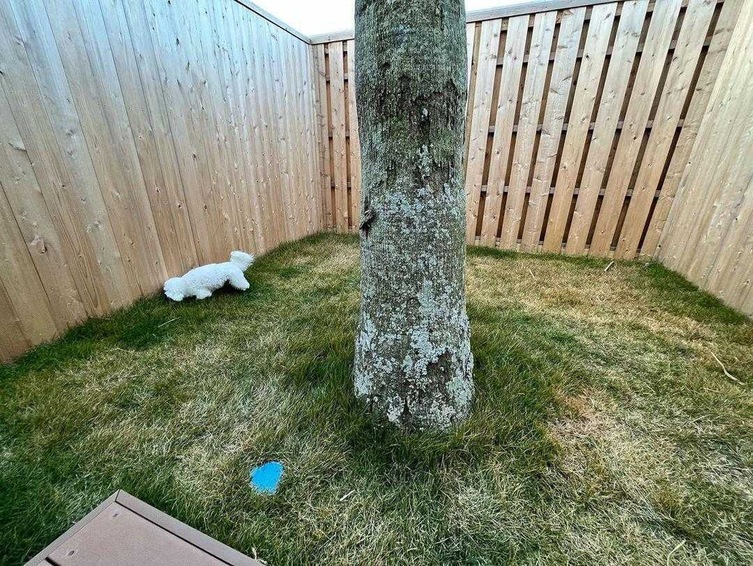 seto__1022さんの写真 / 2