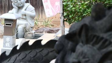 ランド ビュー / 15