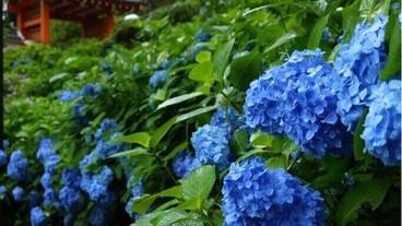 観光スポット / 7