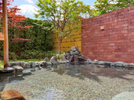 山中湖富士松温泉 富士松園ホテル / 5