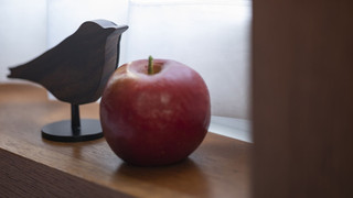 [レギュラーフロア]ダブル/17.0平米