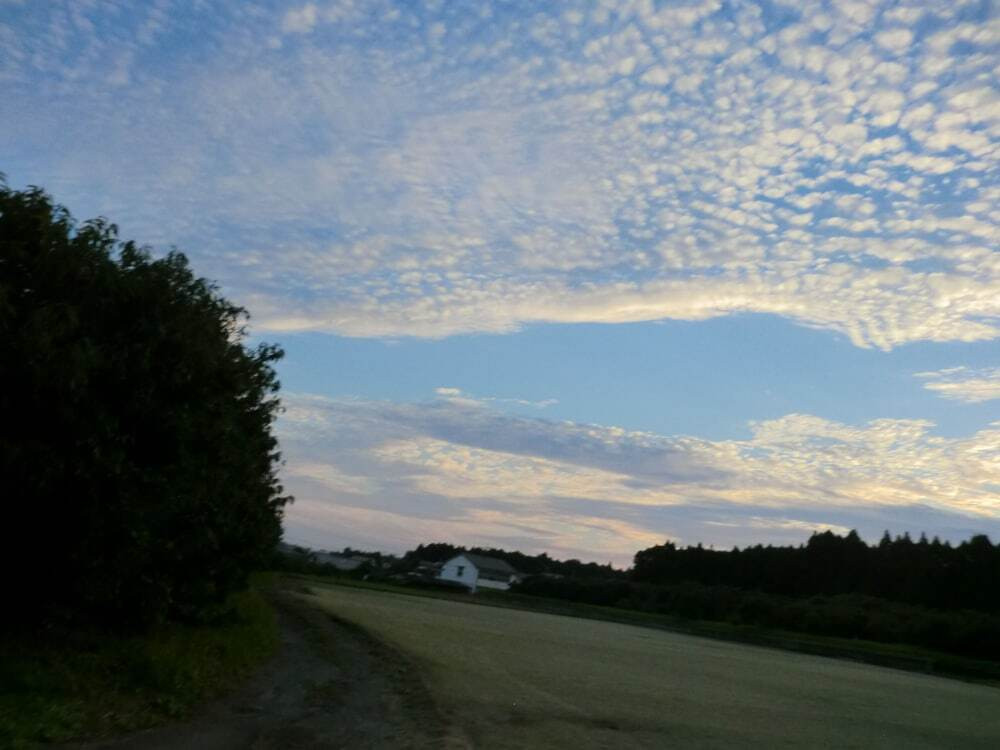 施設からの眺望