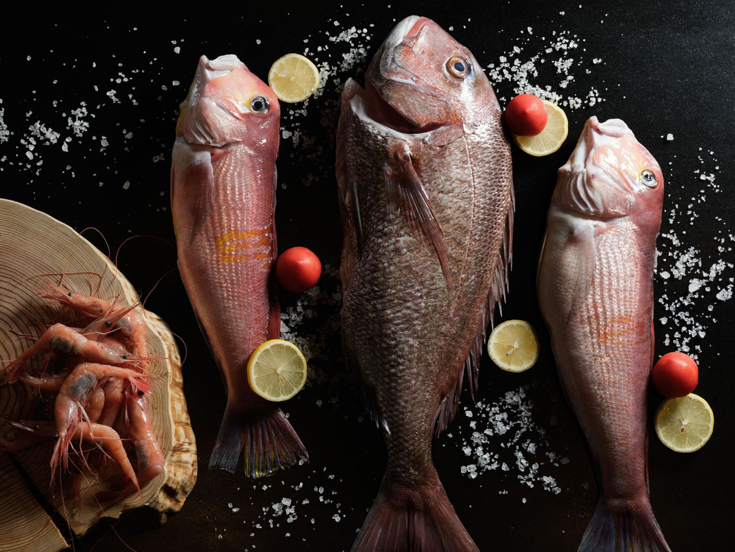 食材 魚