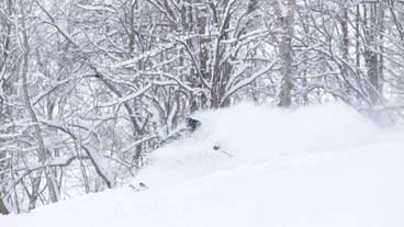 スノー スポーツとスキー / 13