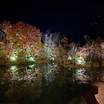 絶景！レストランからの眺め